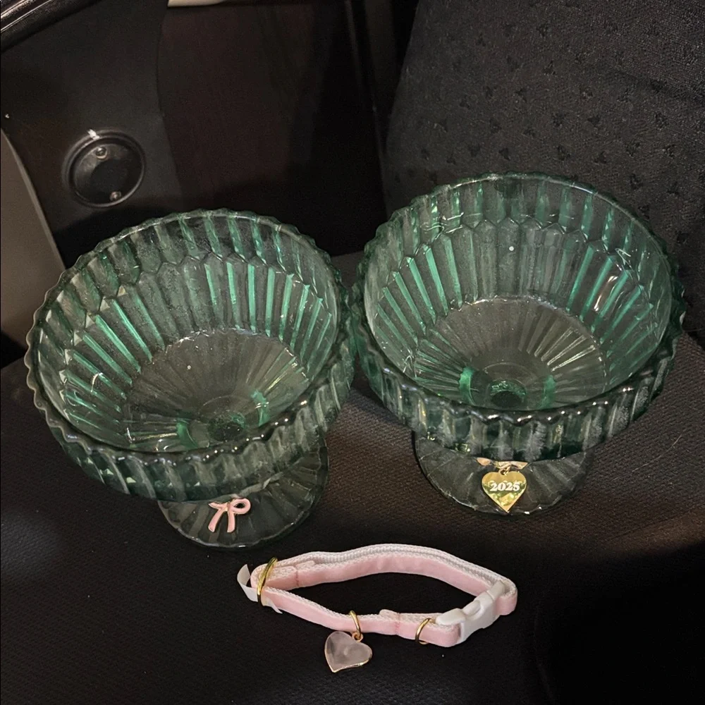 Cat bowls and Collar